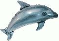 H Dolphin Realistic