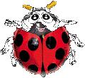 H Lady Bug
